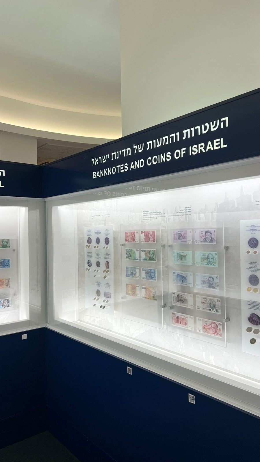 Banknotes of Israel display